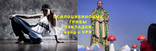 дживик Аркадак