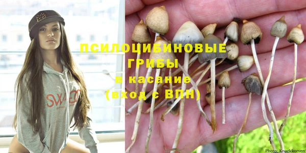 гидропоника Семикаракорск