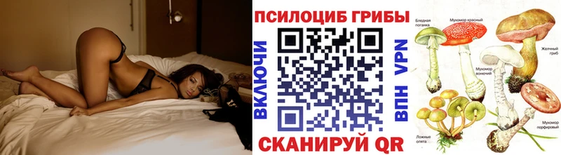 мега ссылки  Городец  Галлюциногенные грибы ЛСД 