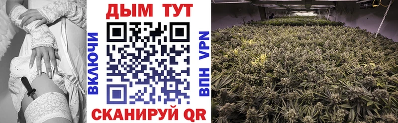 Канабис THC 21%  магазин продажи   Городец 